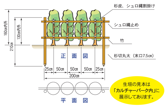 生垣標準図（例）