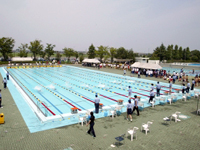25mプール 競泳7コース（公認プール）